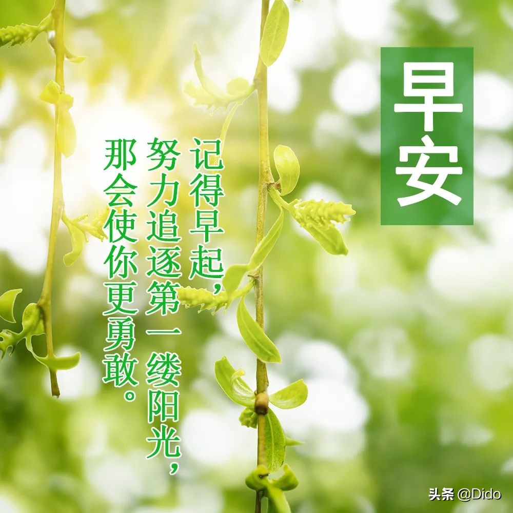 端午节祝福语一家人分开过端午节,端午节的简短祝福语给朋友