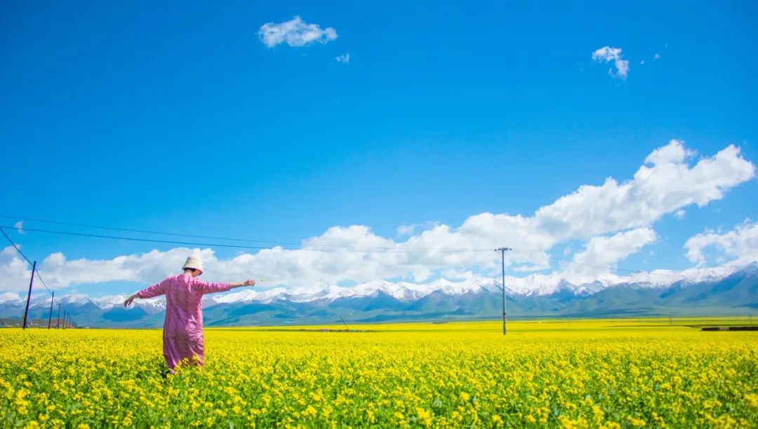 夏天哪里看油菜花最美,夏天去哪里看油菜花最好