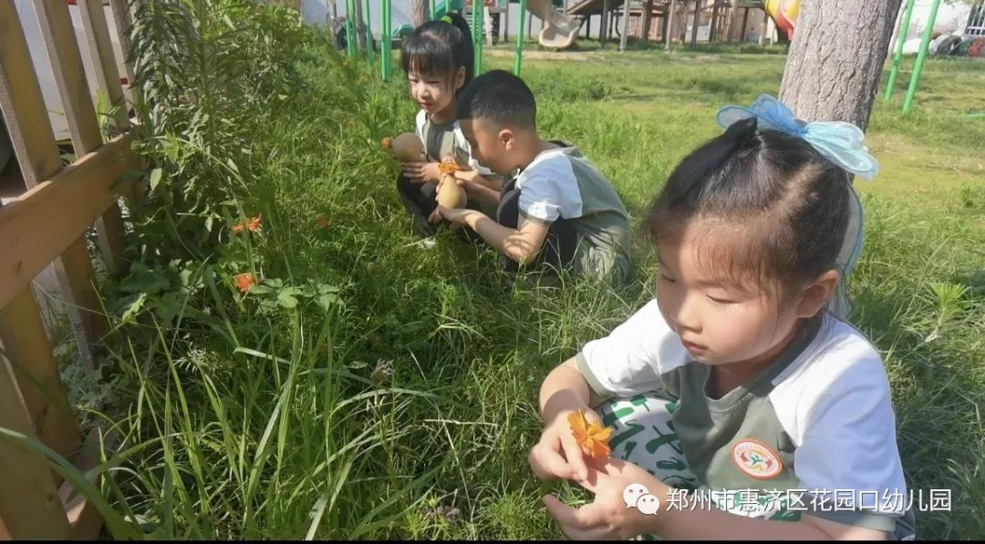 有趣的纸盒幼儿园,有趣的宣纸绘画幼儿园