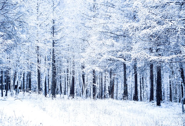 东北三省黑龙江最大吗,黑龙江省是我国最北方的省份吗