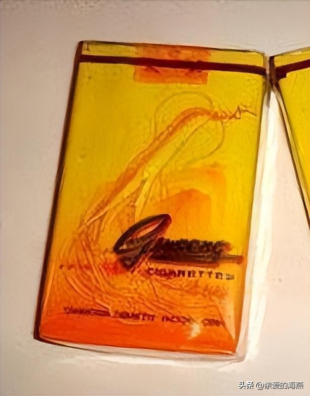 中国绝版老香烟有哪些牌子,绝版老香烟见过一种说明你老了