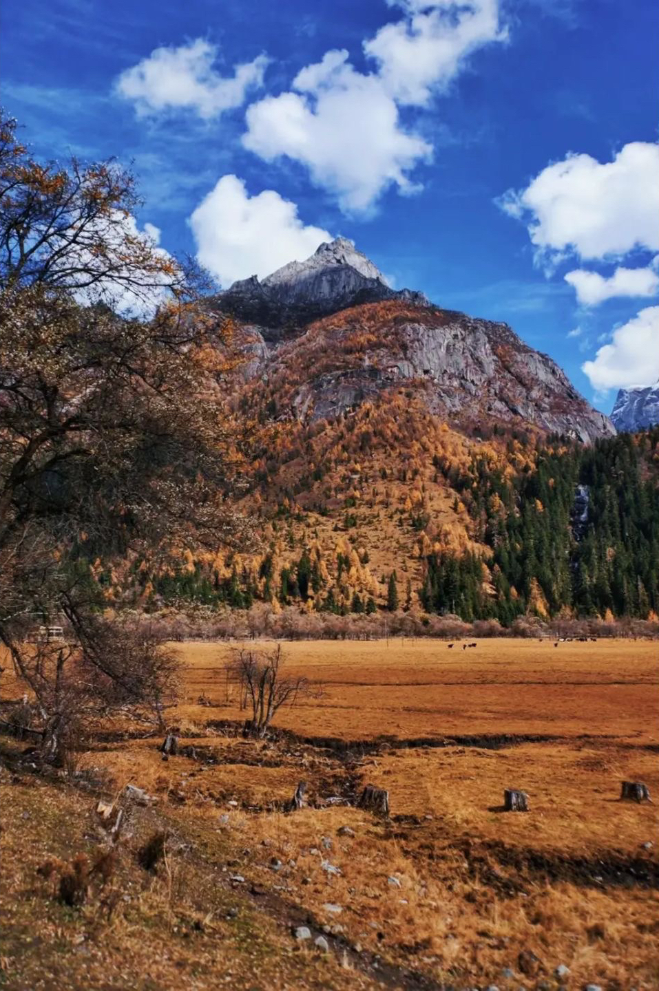 成都去西藏3天往返,成都去西藏不重复路线