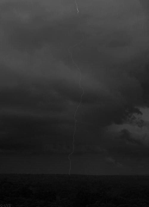 东航波音737飞机失事坠毁事件,东航波音737飞机失事原因