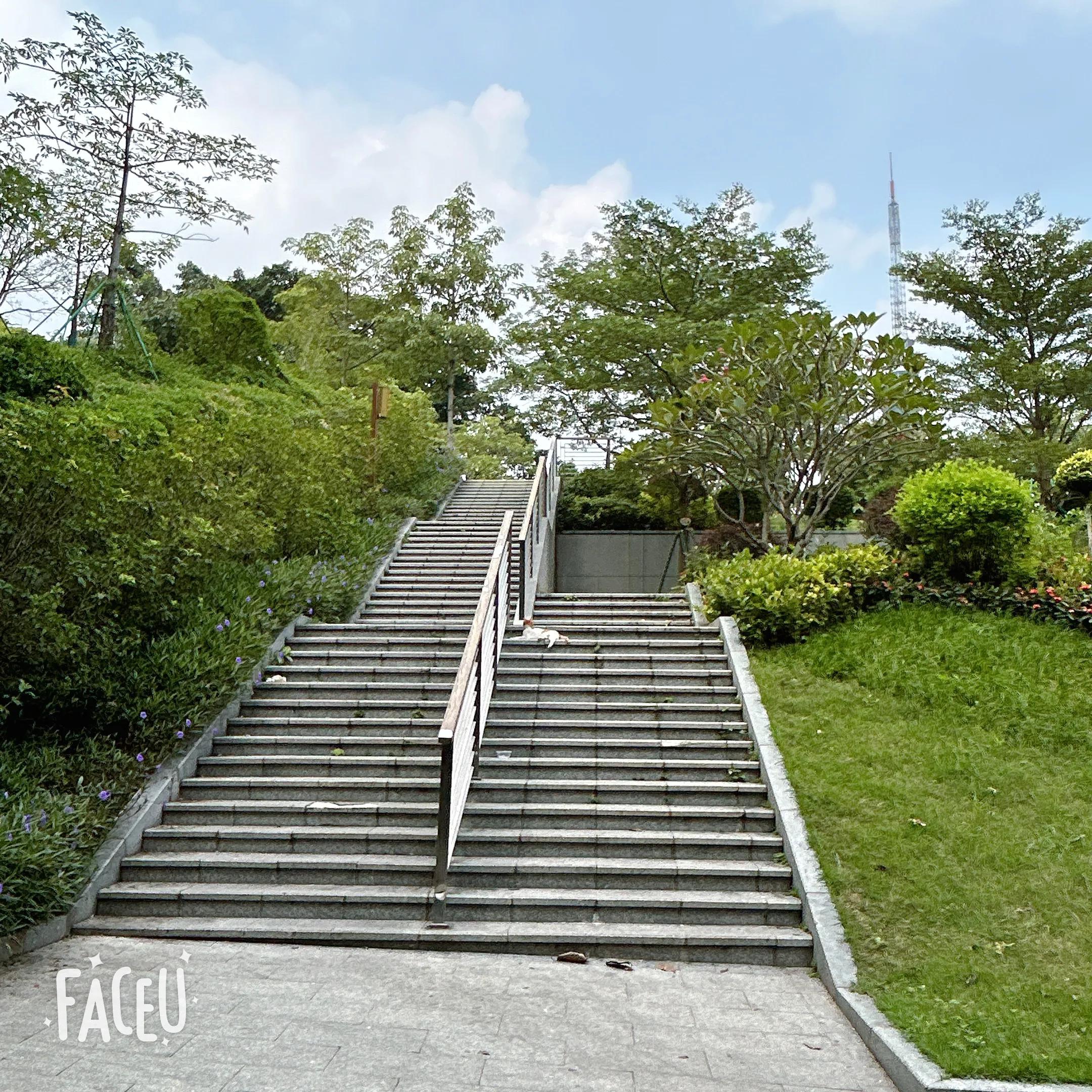 婚前发现老公是渣男为什么还嫁,婚后遇到渣男了怎么办