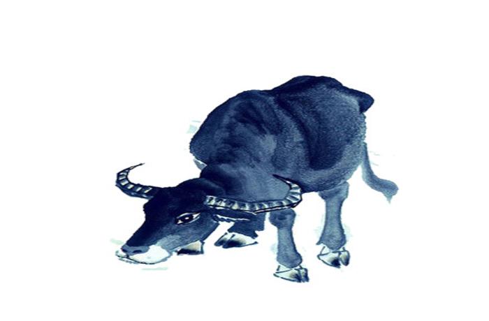 一辈子最有福气的三大生肖,越孝顺福报越大的3个生肖