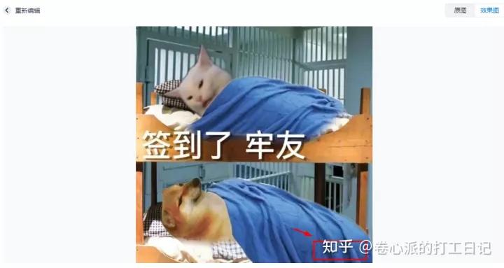 西瓜视频去水印免费软件,去水印免费软件哪个好用