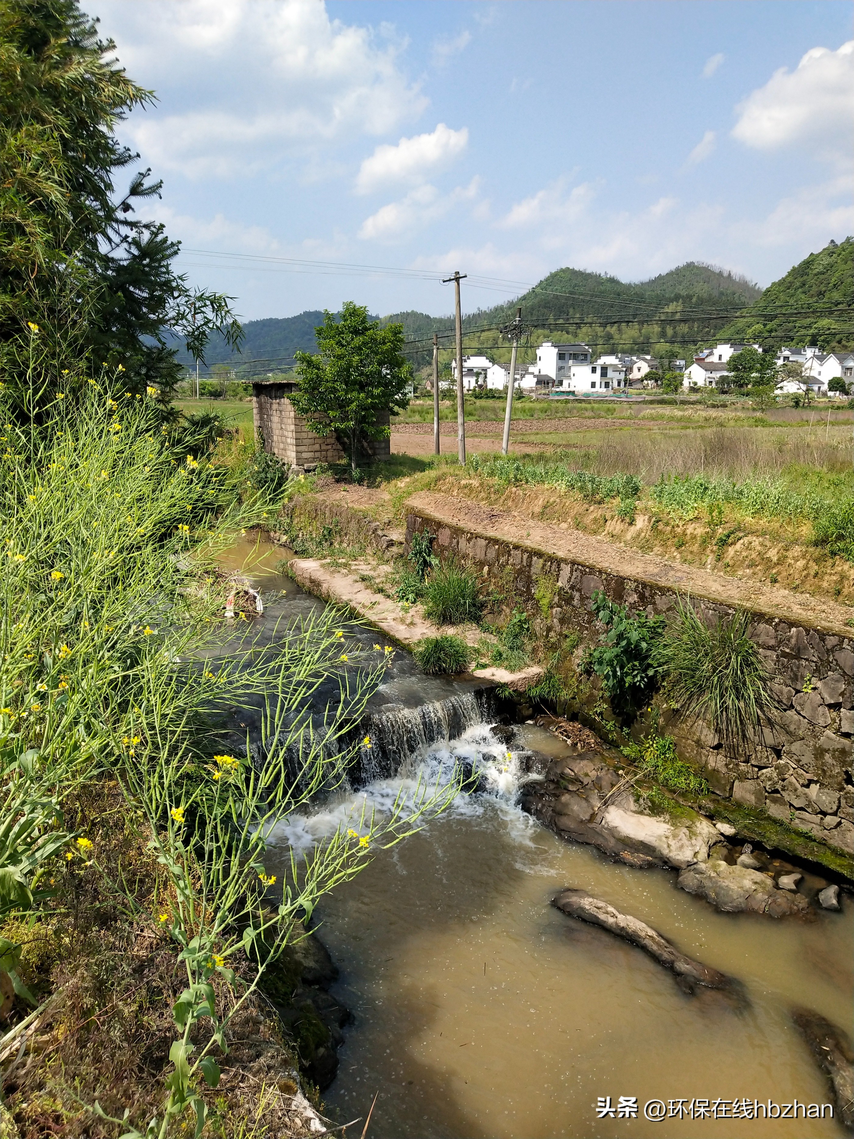 返乡入乡创业情况,返乡入乡创客的社会效益