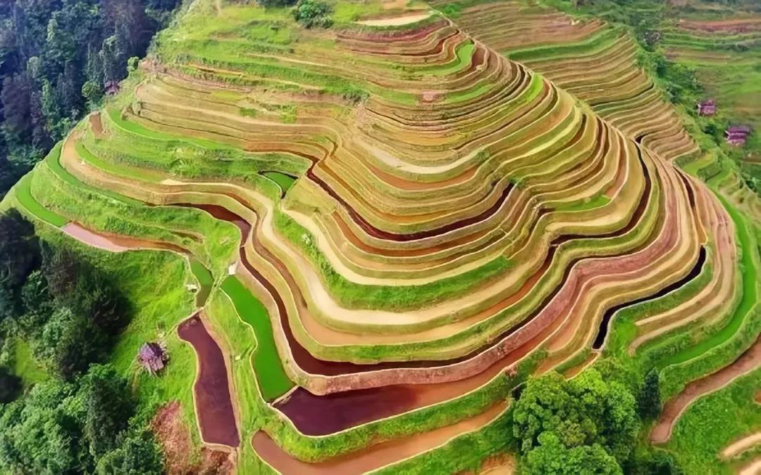 贵州榕江村超火爆场面,贵州榕江村为什么那么火