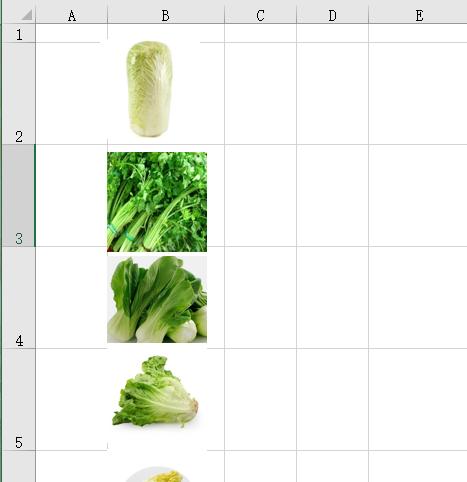 excel怎么快速将图片对齐,excel如何让图片对齐网格