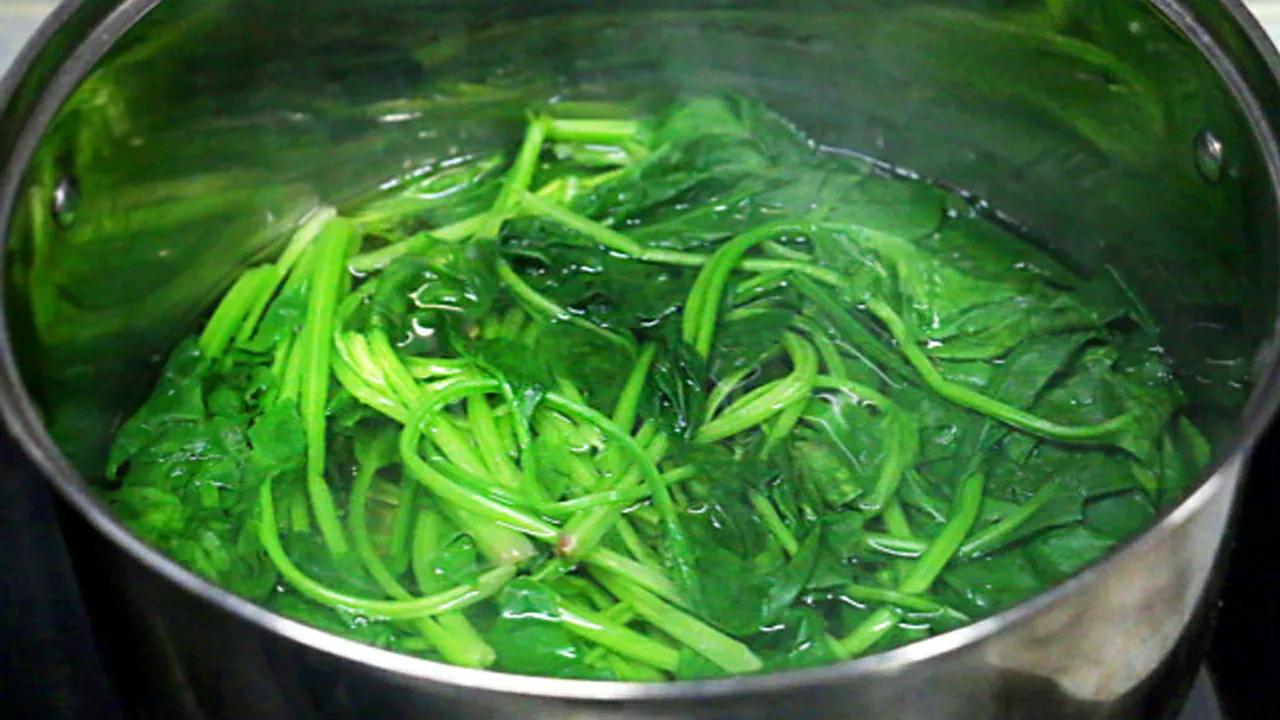 富含天然叶酸的食物有哪些,四款富含叶酸的食物快吃起来