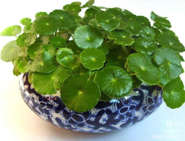 优美抒情散文朗诵,优美抒情散文