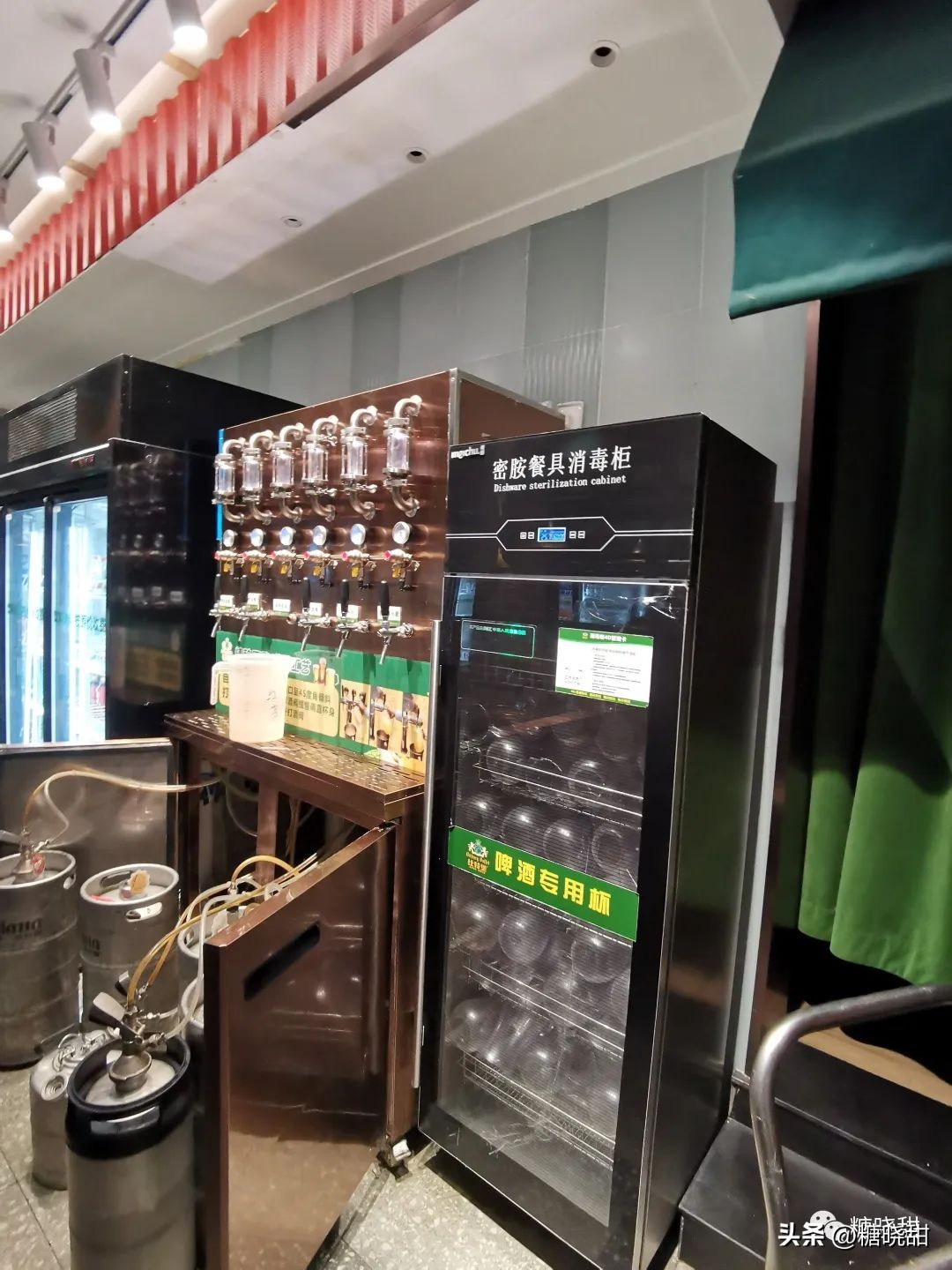 美食探店看着蒜蓉虾流口水,海鲜鲍鱼小龙虾螃蟹