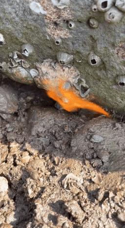 劝人不要谈恋爱的幽默句子,不谈恋爱的正能量语录