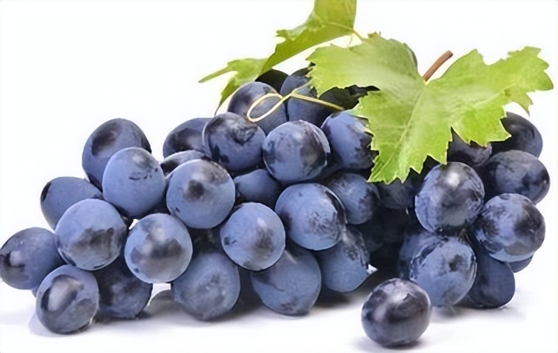 女儿快6周岁了胸部有硬块还疼,女儿才六岁开始发育了怎么办