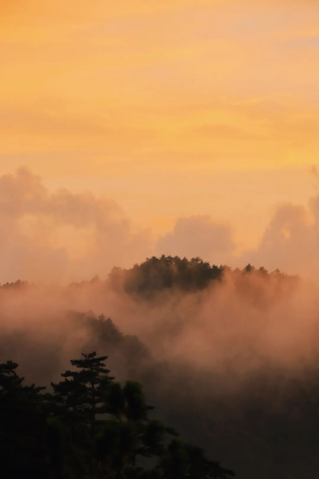 不愧是天下第一山真的很壮观,不愧是天下第一奇山
