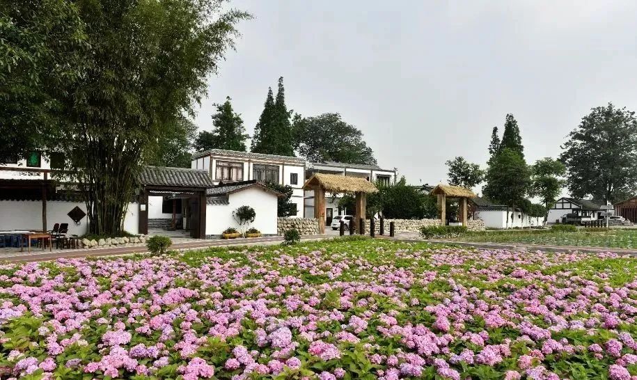 乡村振兴示范村典型案例规划设计,偏远山区乡村振兴示范村典型案例