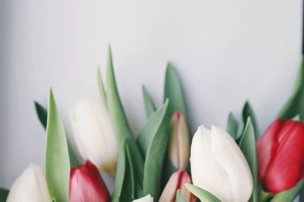 实习大学生合同、社保、税务如何正确处理?