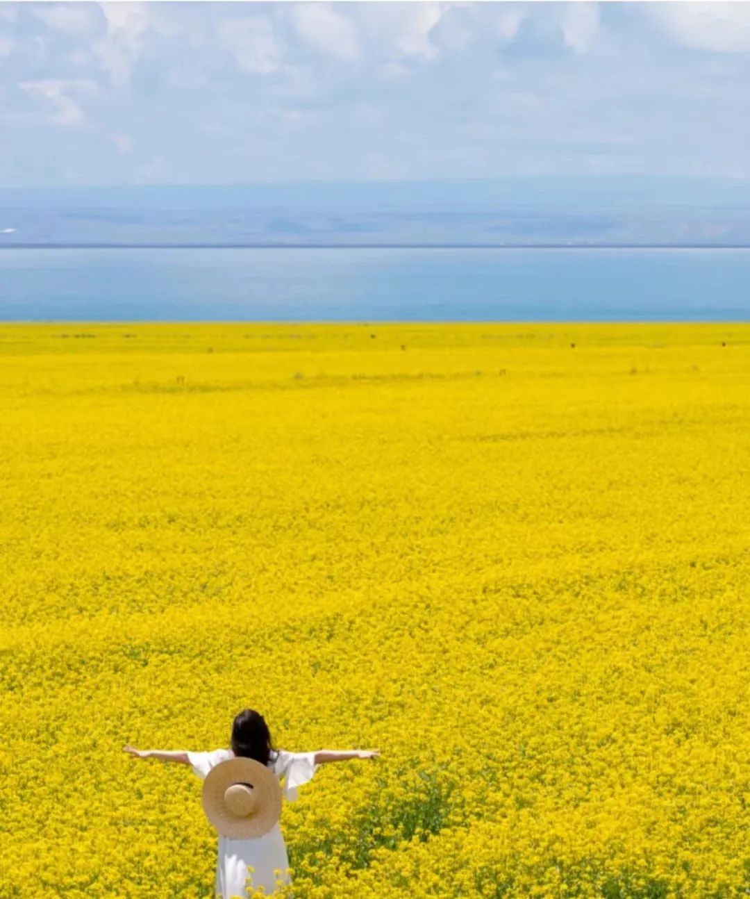 鼓浪屿可以当天预订船票攻略 (鼓浪屿还有免费的船票吗)