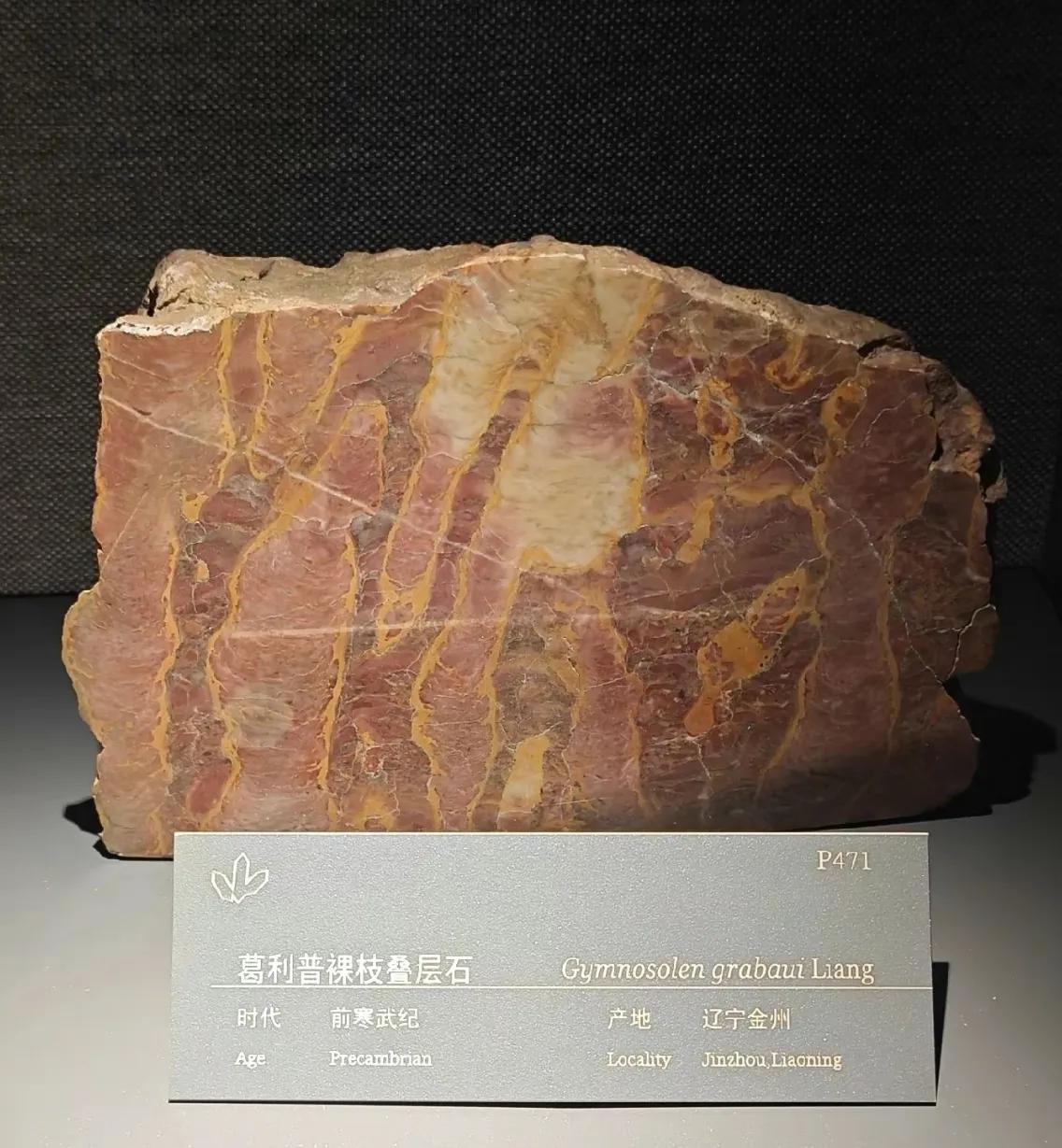 中国地质博物馆藏宝图,国家地质博物馆藏品