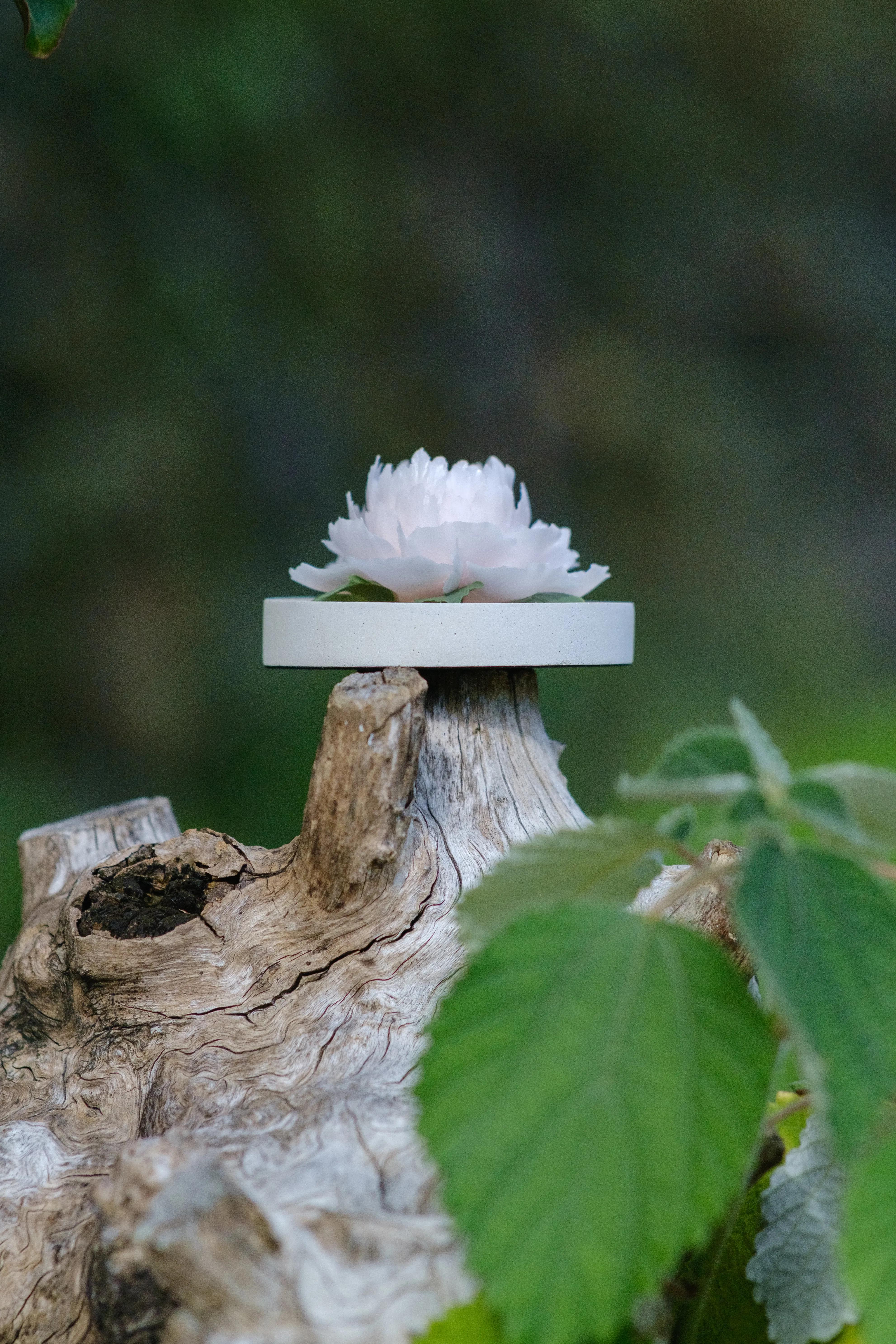 富士高性价比长焦镜头推荐,富士直出有多强