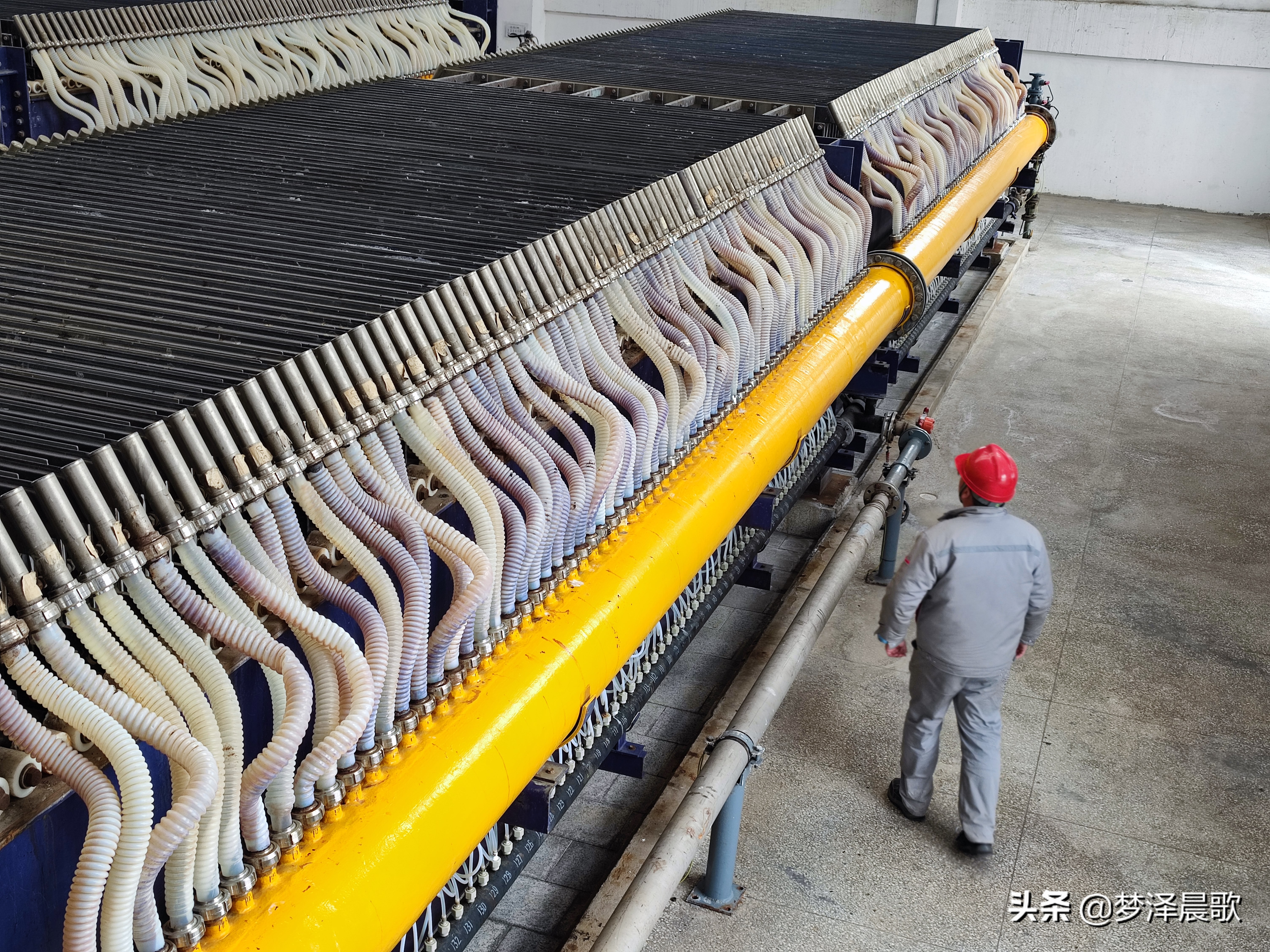 添虎劲,虎年企业复工复产新闻稿