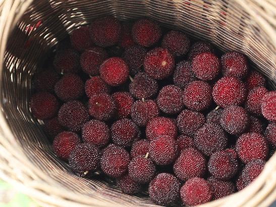 宁波鄞州人怎么看待余姚慈溪人,慈溪人为什么不称呼自己为宁波人