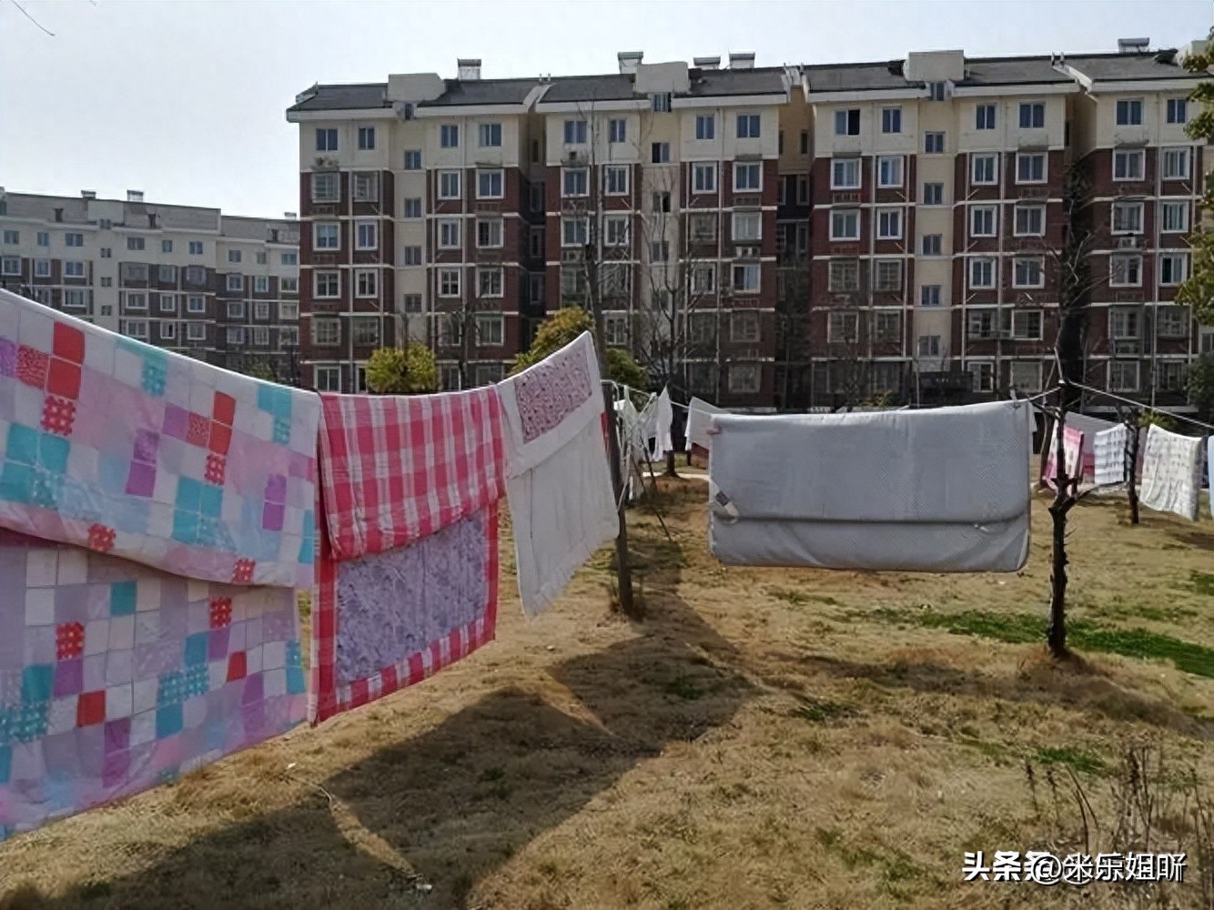 羽绒被暴晒会长虫子吗,羽绒被暴晒还有味道吗