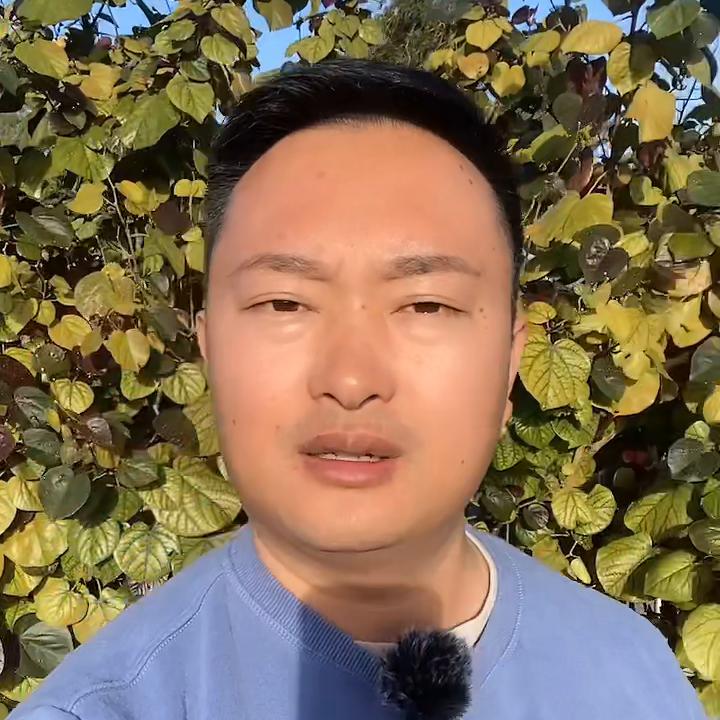 为什么中国的“差生”，来个澳洲会变成优秀学生？你不知道...