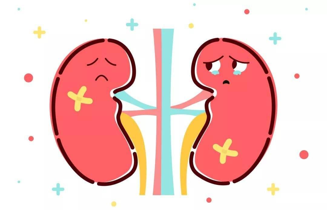 体检查出尿蛋白高是怎么回事,尿蛋白升高是一种什么病的前兆