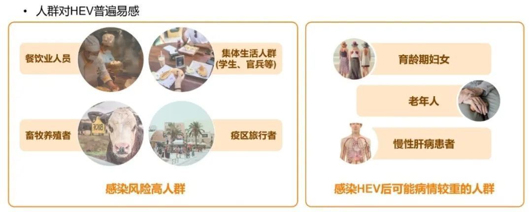 戊肝防治指南最新,戊肝防治共识