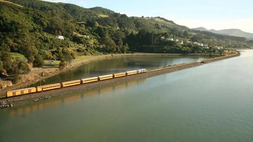 写给不被疫情束缚的心:用文字“云”游新西兰全境