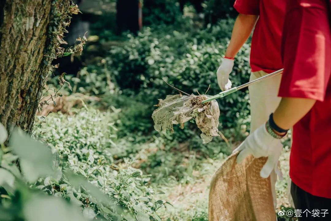 98年女孩过“极简生活”上瘾！5年不用卫生巾，2年不买卫生纸？