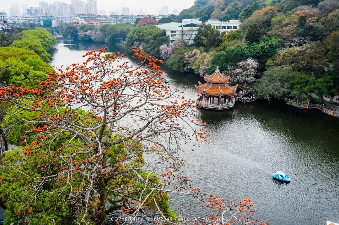 潮州古城别样的风景,瞰见潮州