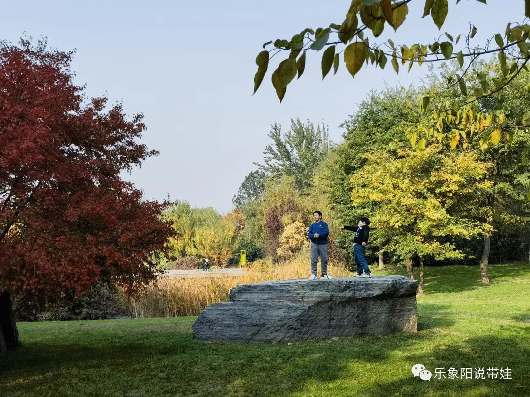 时间都去哪儿了小品完整版,时间都去哪儿了感悟