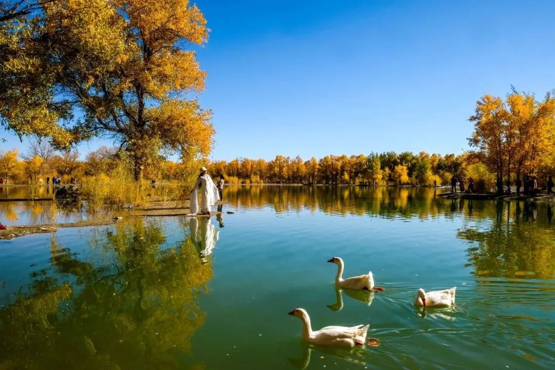 到甘肃旅游报价,到甘肃必去景点