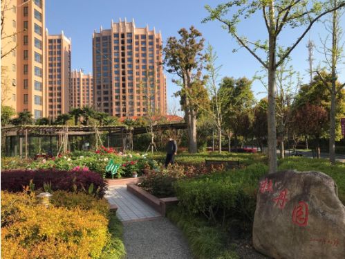 上海香树湾国际养老社区怎样服务,香树湾国际养老社区