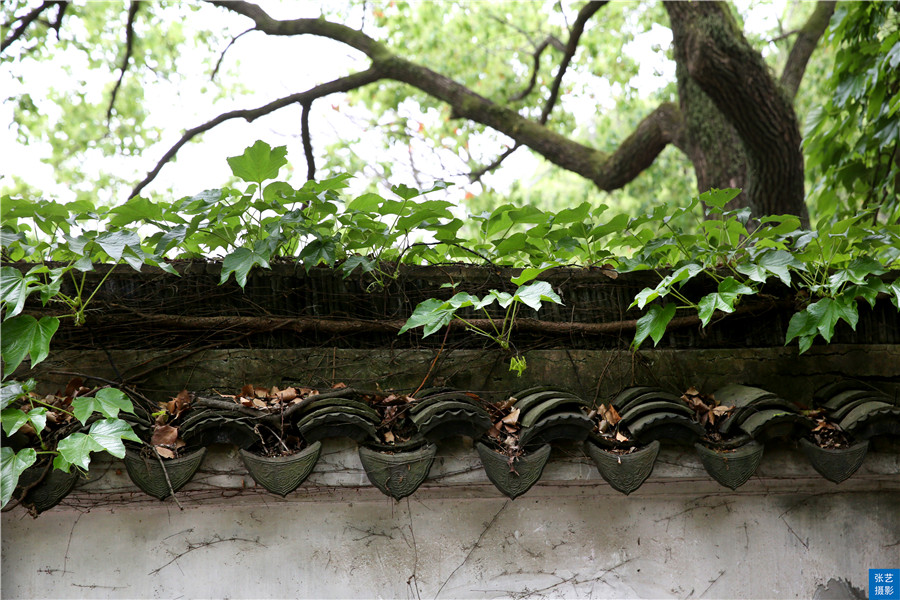 苏州著名景点虎丘简介,吴中必游虎丘原因