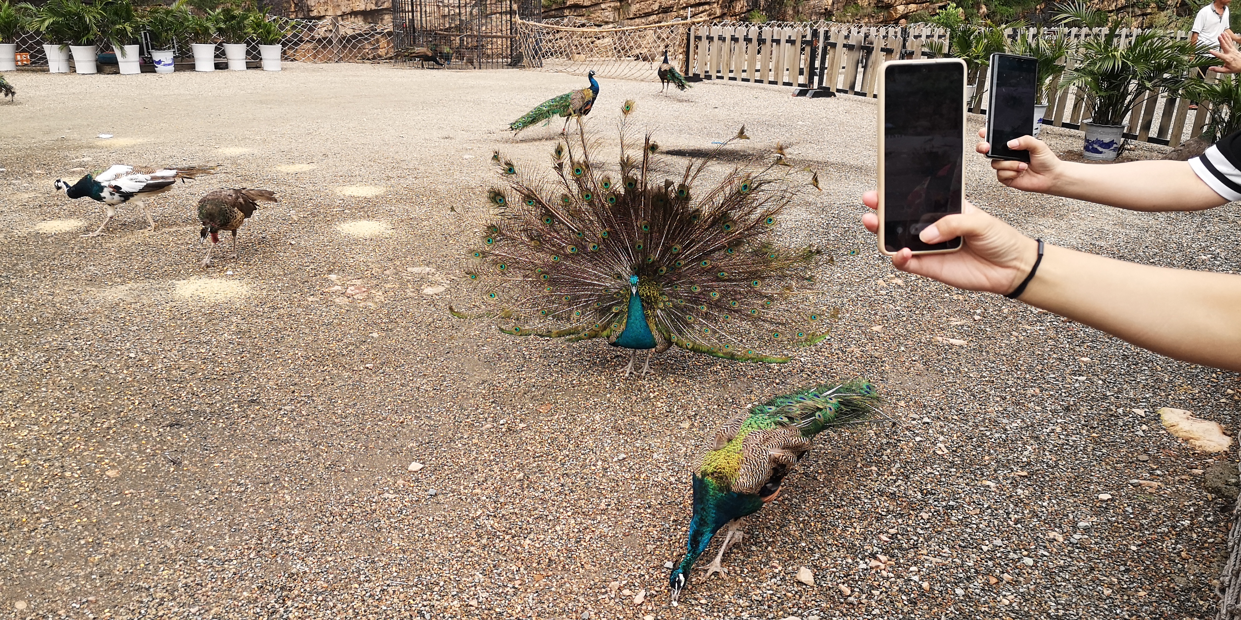 天津上乐园蓟县旅游攻略,天津蓟州太平寨旅游