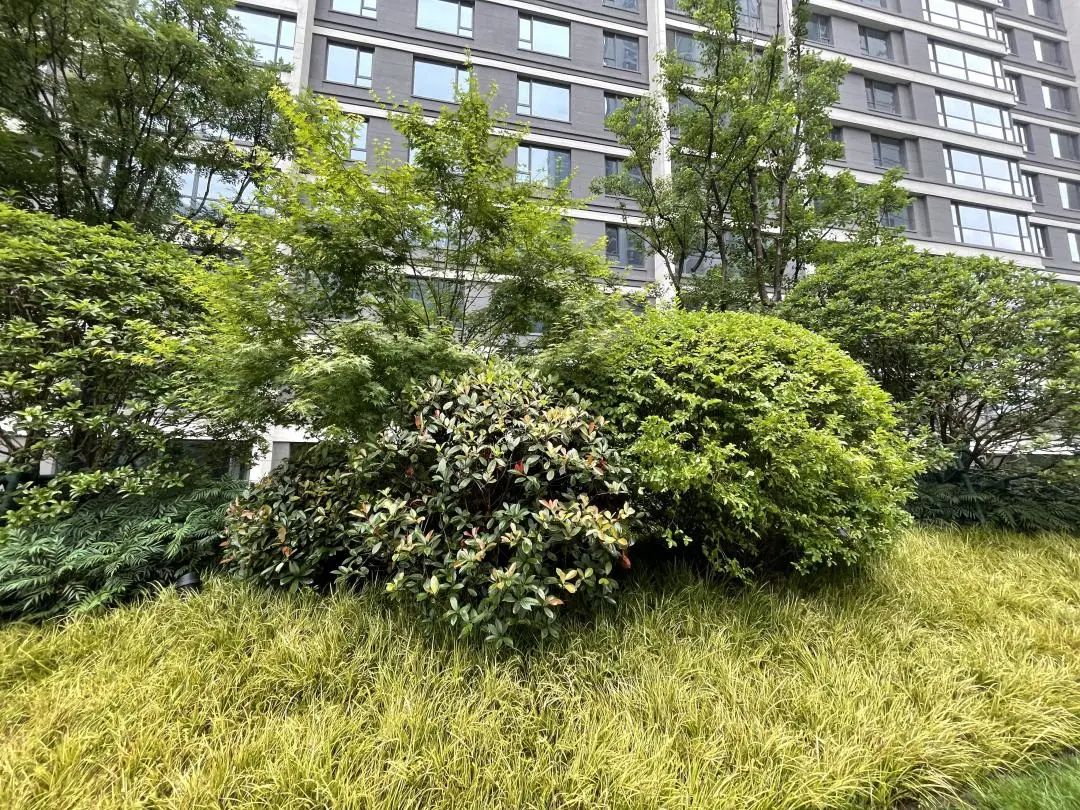 旭辉国宸府延期,房住不炒不等于房价不涨