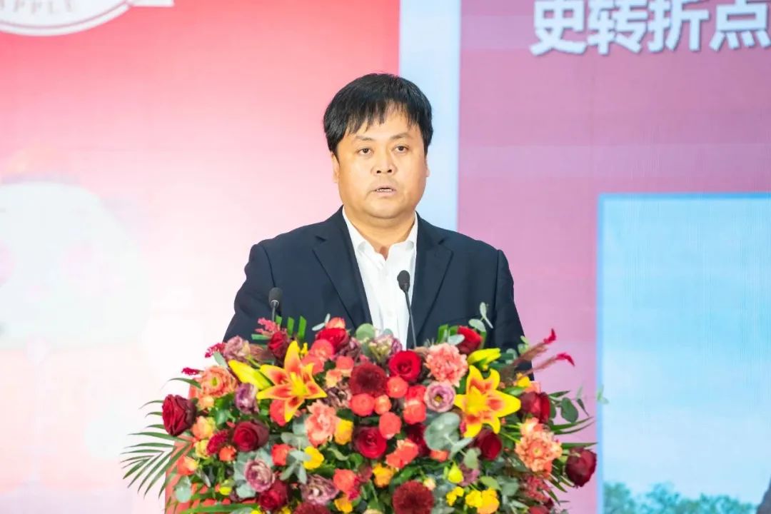 一起来看美丽的淀山湖,一起来看苏州京杭大运河