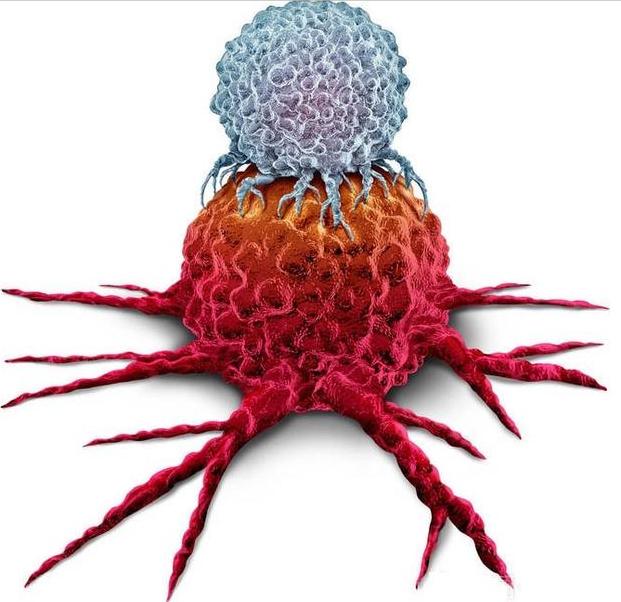 肿瘤与免疫的故事,肿瘤免疫治疗十大案例