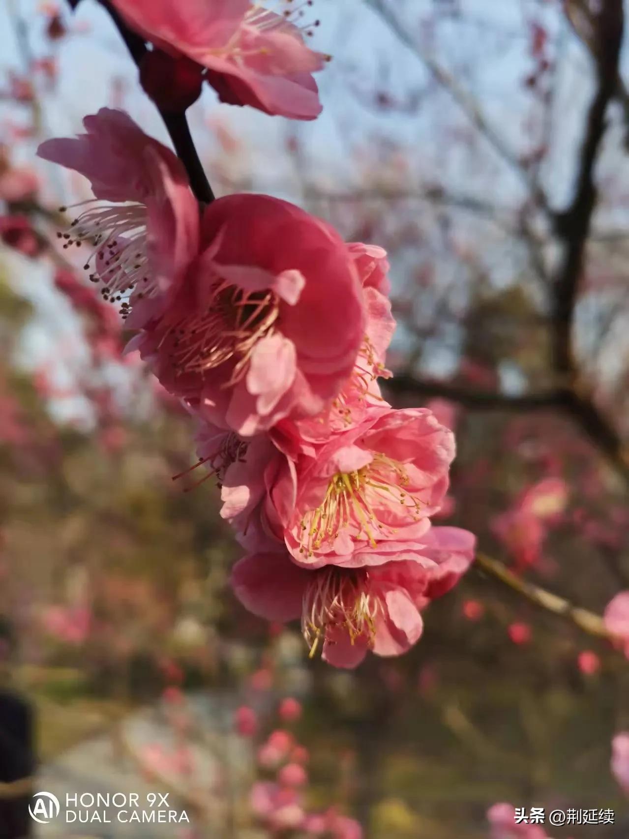 漫游黄山,漫游梅兰芳纪念馆