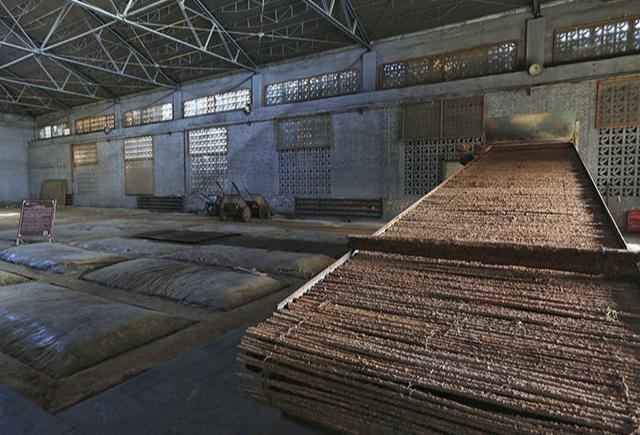 同是洋河“蓝色经典”，梦之蓝、天之蓝和海之蓝的口感都如何