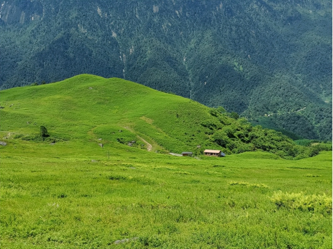黑竹沟攻略国庆,黑竹沟景区攻略三日游