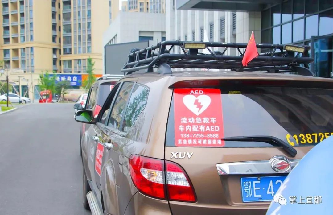 紧急提醒最近千万不要碰什么,野生蘑菇中毒高发季勿采勿食