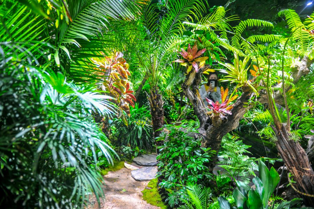 济南周边露营一日游的绝佳去处,绝美星空露营