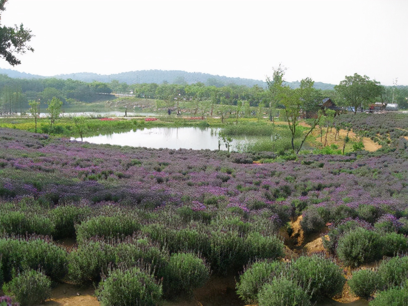 从南京出发去九寨沟自驾游攻略,自驾游南京旅游攻略最新