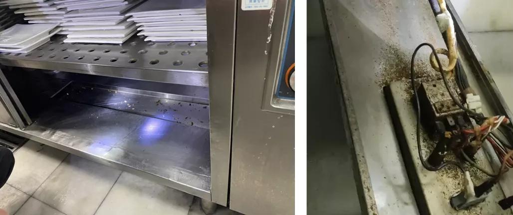 餐饮有虫子蟑螂怎么办,餐厅有大量蟑螂怎么彻底消灭