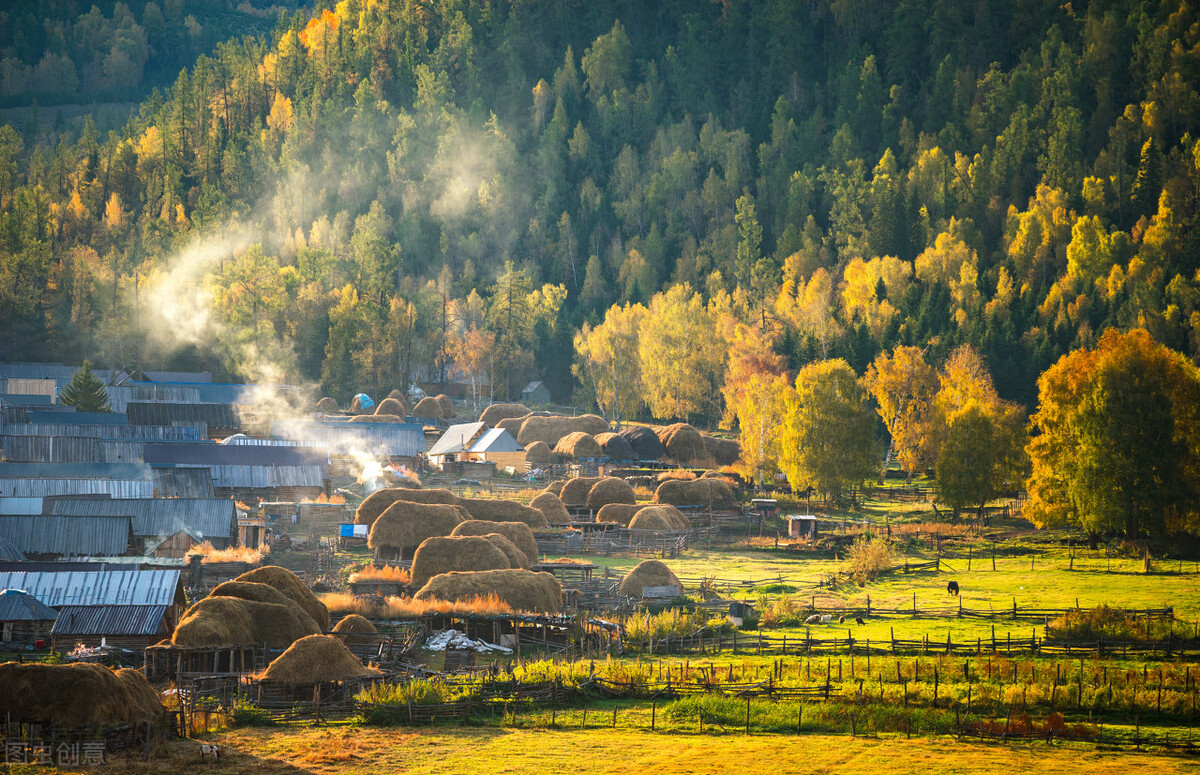 读道德经五十一章感悟,读道德经感悟200字