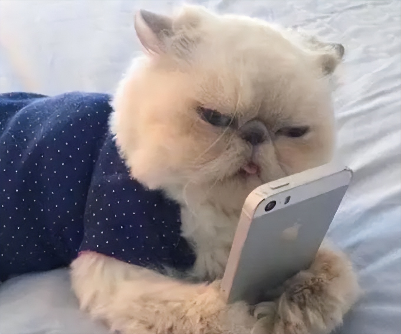 有治鼻炎的好方法吗,哪种药治鼻炎比较好